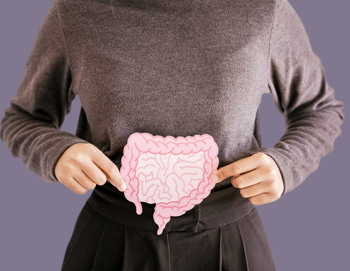 Frauenhaende die eine Darmform halten